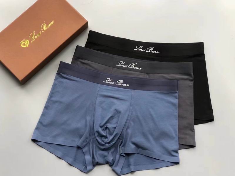 Loro Piana boxer L-4XL 110604